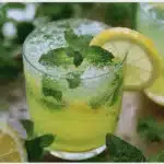 Citronnade menthe sans sucre