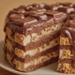 Gâteau aux Petits-Beurres et Chocolat Sans Cuisson